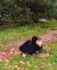 Раунд Руж Софистикейтид