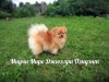 Миучи Миро Джюэлри Пэндэнт