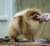 Улыбка Фортуны Из Долины Света