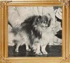 Sir Percy Of Point Loma