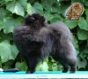 Волгдон Риверсиде Ларри Двэйн Гив Джой