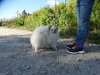 Лайма Лолвелу Годдес