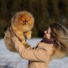 Купер Де Шарм Ноэль