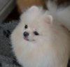 Колор Клоуд Хевенли Бьюти