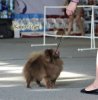 Ювелир