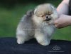 Топ-Доллс Анхель Фор Ю