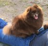 Юно Гасай