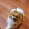Солнечная Стеша Из Окского Бора