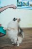 Жанетта