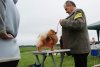 Турецкие Штучки Акуна Матата