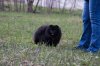 Рейнбоу Коллекшин Уникальная Девочка