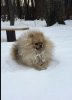 Алми Юрнис Ясный Мой Свет