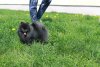 Уитли Бьюти Найт