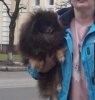 Ниридми Старз Султан