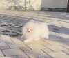 Изюм Из Фром Зе Зот Кей