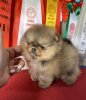 Пом На Миллион Гуфф