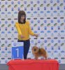 Ойя От Ю-На Коллекшион