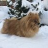 Валентинино Счастье Екатерина Великая