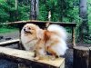 Ганна Мисс Бьюти