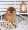 Империал Смаил Фор Рафаэль Эмиль