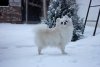 Альтхо'з Хауз Нау Ин Топ