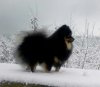 Натти Делюкс Промт Флет