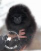 Юниванг Дар Бади Боунч