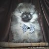 Юн Амено Дори Ме Из Вестландии