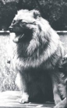 Carmelitta V. Esper Ort