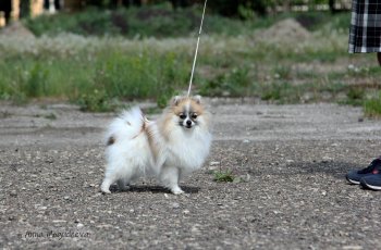 Мио Рондини Ценная Штучка