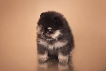 Помгеографик Ибица