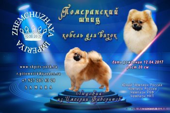 Людовик Из Империи Фаворитов