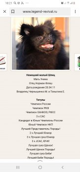 Ультра Легенд Ревивал
