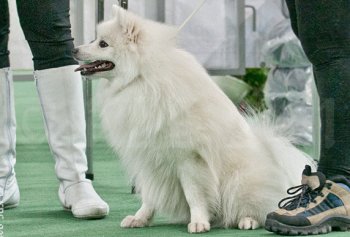 Махо Мирай Нацуми