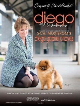 Moxiepoms Diego Gabriel Chavez Grand Am Tech