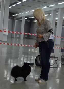 Филиппа Квин Оф Найт