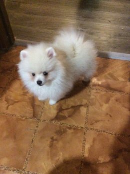 Оливер Стоун