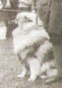 Alkestitan Karlos