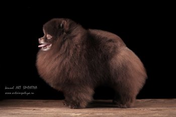City's Oso Sweet Surprise